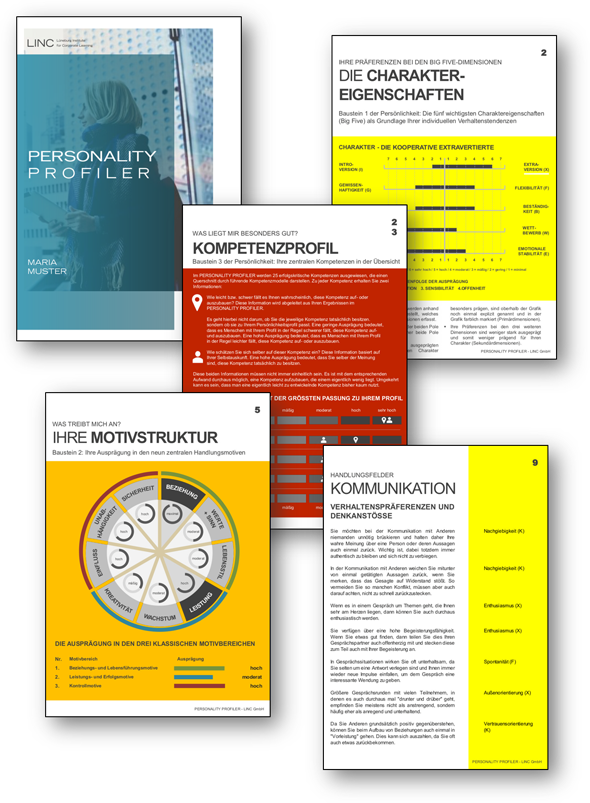 LINC PERSONALITY PROFILER LPP für PersönlLINC PERSONALITY PROFILER LPP für Persönlichkeitsanalyse und Entwicklung mit den Big Five, der Aufbau des LPP Reportsichkeitsanalyse Aufbau des Reports