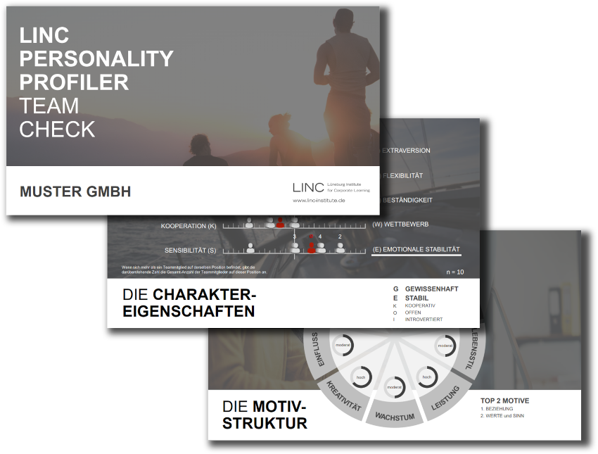 LINC PERSONALITY PROFILER Team Check Persönlickeitstest Coaching